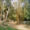 Fotos Kerala Nov-Dez 2011 teil 2 385.jpg